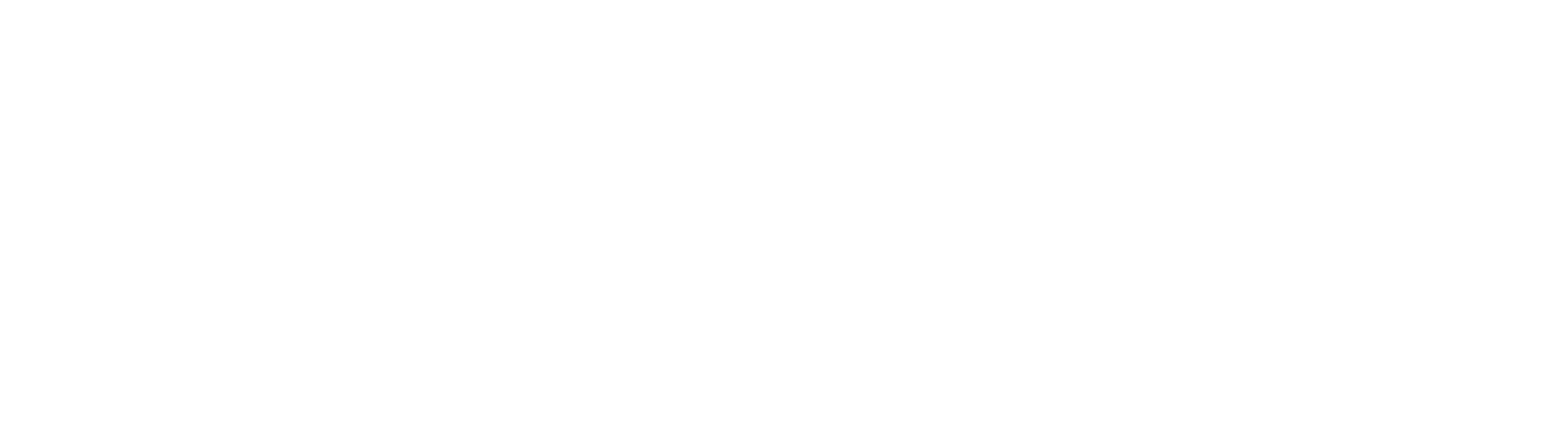 logo-velmoraclinic-white